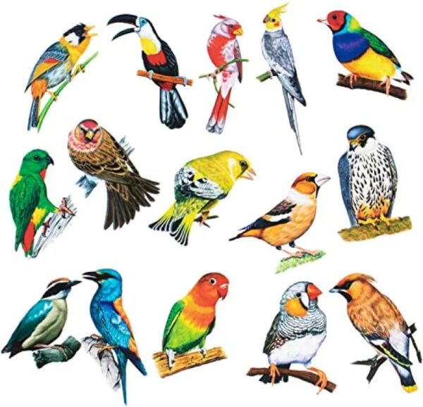 Art Crafts Birds Wall Stickers - Decorative and Vibrant Designs